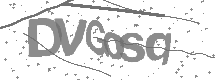 visual captcha